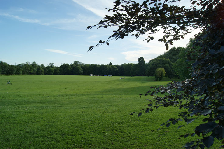 A field with cars parked in the distance, and a child riding across on a bike.